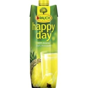 Rauch Happy Day Ananás 100% 1l
